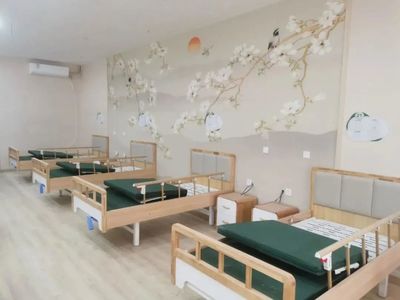 龍泉驛區西河街道迎來首個養老服務綜合體落成